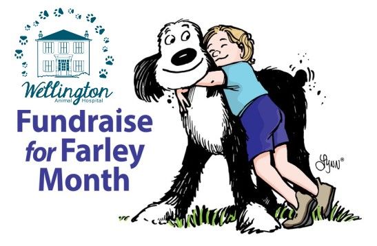 Wellington Animal Hospital's Fundraiser