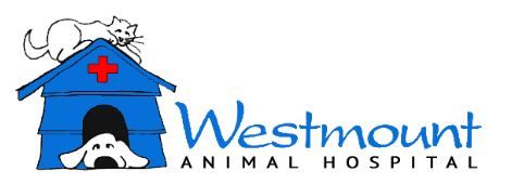 Westmount Animal's Farley Foundation Donations