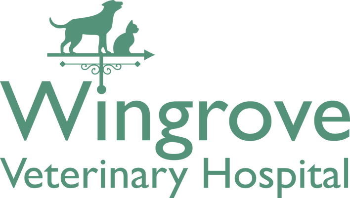 Wingrove Veterinary