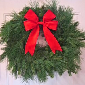 24" Evergreen Wreath