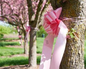 Ribbons for Research