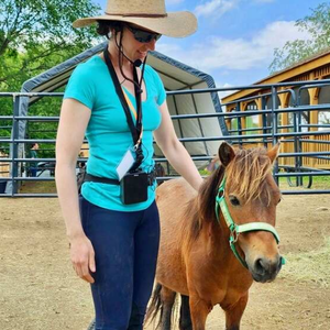 Clicker Training Curious - July