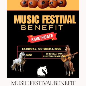 Music Festival Benefit