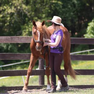 Intro to Clicker Training