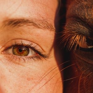 Purchase A Ticket - HeartMath & Horses