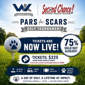 Pars for SCARS Charity Golf Tournament