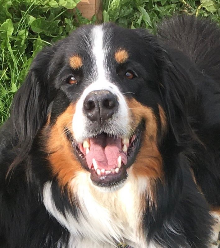 Scott Giesinger Fundraiser