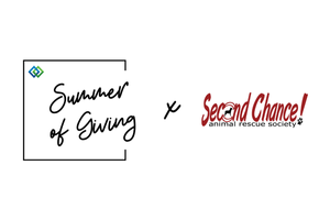 Summer of Giving 2025 - Wow Lighting is raising money for the SCARS Animal Rescue Society