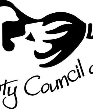 Renewal Membership