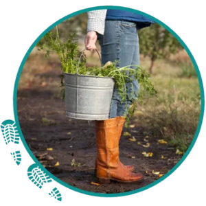 Open Farm - Saturday & Workshops