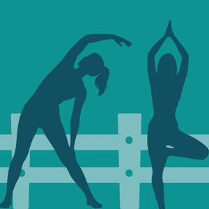 Yoga With the Animals