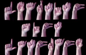 Learning Sign Language