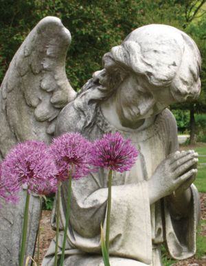 Angel in Prayer