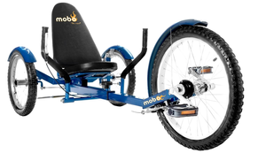 The Partner PE: No Limits Grant