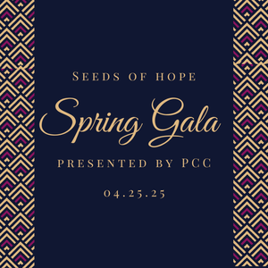 Spring Gala 2025