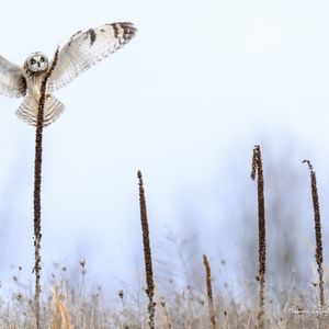 Princeton Photography Club Exhibit Reception