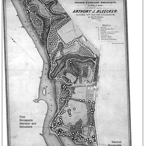 Forests of Point Breeze with Dr. Daniel Druckenbrod