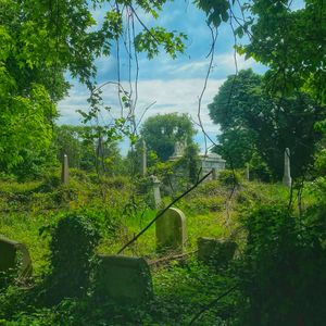 Paradise Lost, Paradise Found: Mount Vernon Cemetery and the Burial Ground of the Second Presbyterian Church of Philadelphia