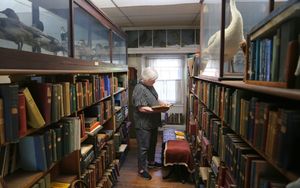 What Was Purvis Reading?
