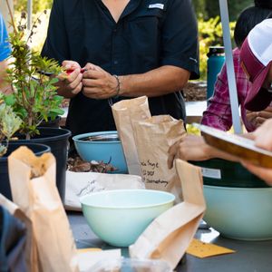 August 23rd Seed Collection and Harvesting