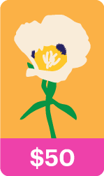 Mariposa Lily - Roots of Community