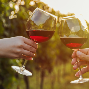 February 2026 Wine Tasting