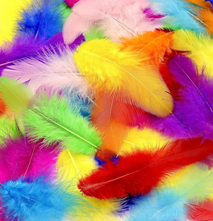 Feathers