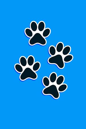 Paws Wall