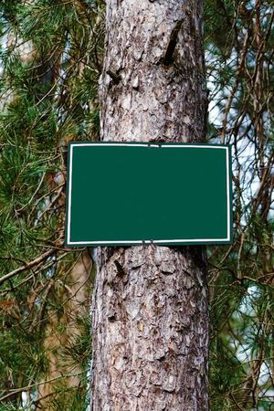 Plant A Tree With A Plaque