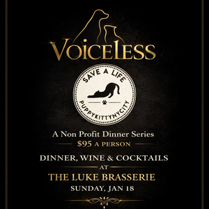 Voiceless - a non-profit dinner series