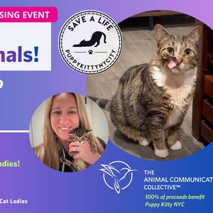 Speak With Your Animals and Afta Pawty