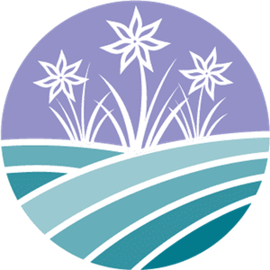 2026 Impact100 Hunterdon