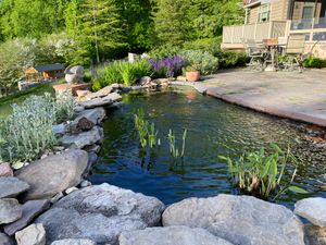 Learning From Great Gardens: Sally and Don DeWees