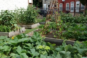 Eating Smart & Moving More