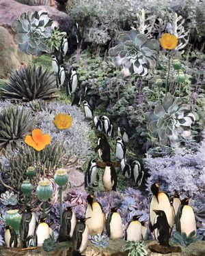 Art Loop February 2026: Nina Silverman-Weeks