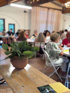 Houseplant Bingo