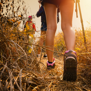 Day Hiker Sponsorship