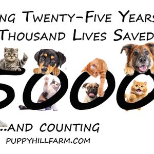 25th Anniversary Gala