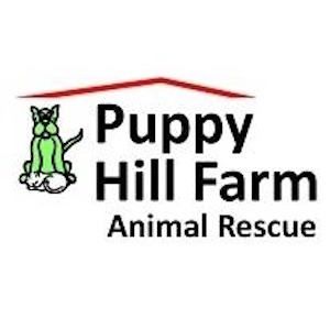 25th Anniversary Sponsorship