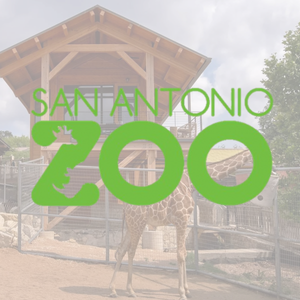 San Antonio Zoo Raffle Package