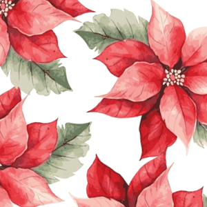 Poinsettia Partner 2025