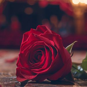 A Night at the Opera - General Admission