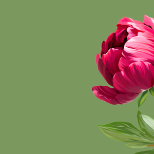 History in Bloom