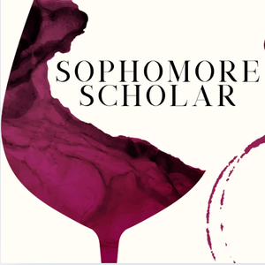 Sophomore Scholar