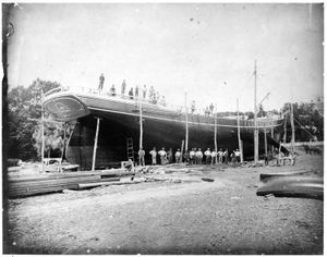 Collection Photographs