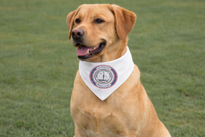 250th Dog Bandana