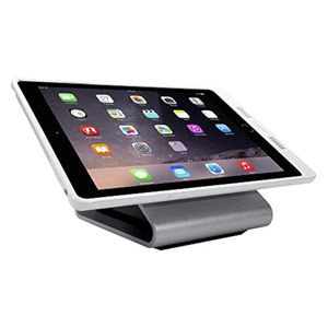 Apple iPad with iPort Launch Case and Base