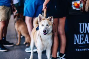 Off The Leash Sponsorship