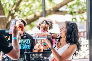 Fur Ball Sponsorship