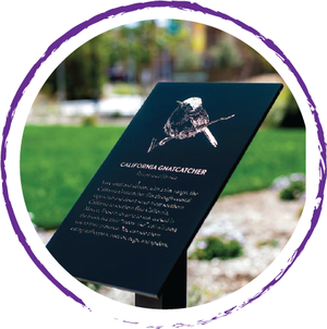 Specialty Dedications (Dentistry History Walk Features)